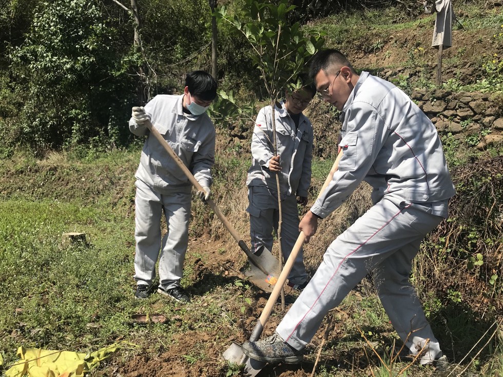 植树造林 绿化家园