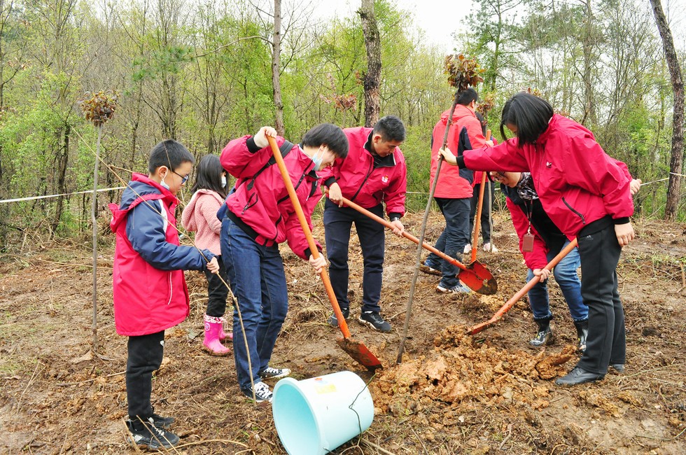 植绿不止 助力碳中和